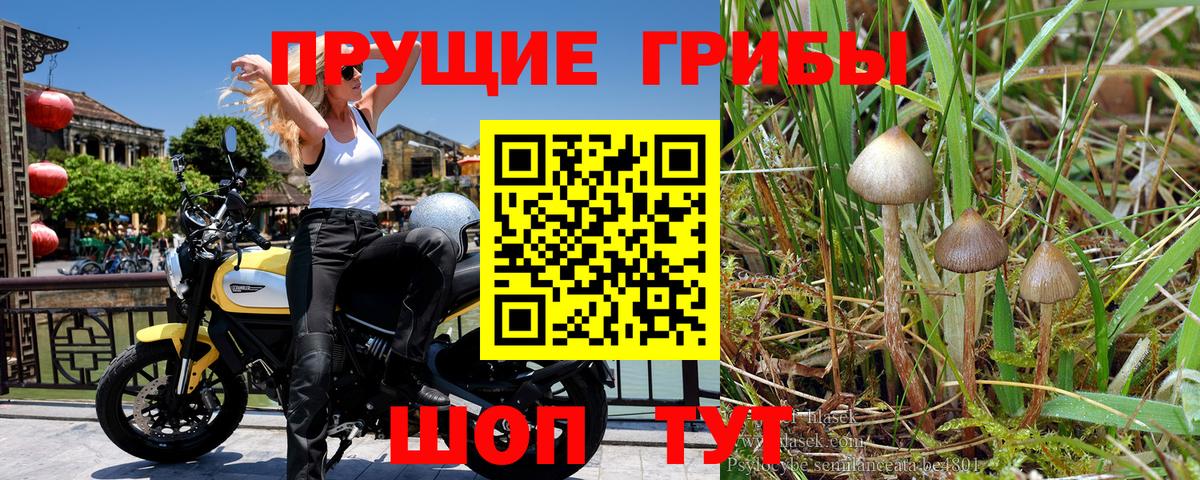 Галлюциногенные грибы Magic Shrooms  Вход с VPN  Псилоцибиновые грибы ЛСД  Балабаново 